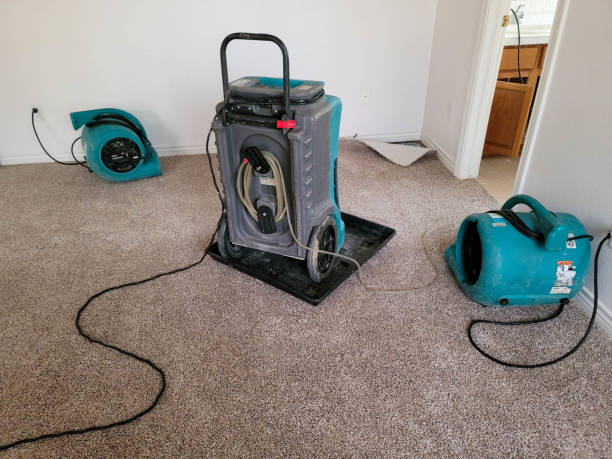  Durant, IA Water damage restoration Pros