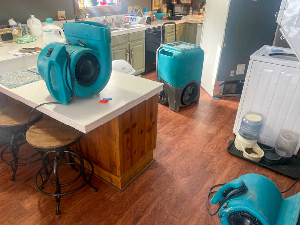 Best Flood damage cleanup  in Durant, IA