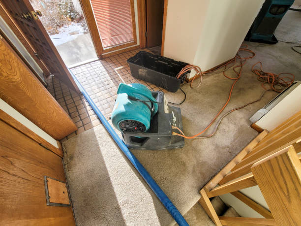 Best Residential water damage restoration  in Durant, IA