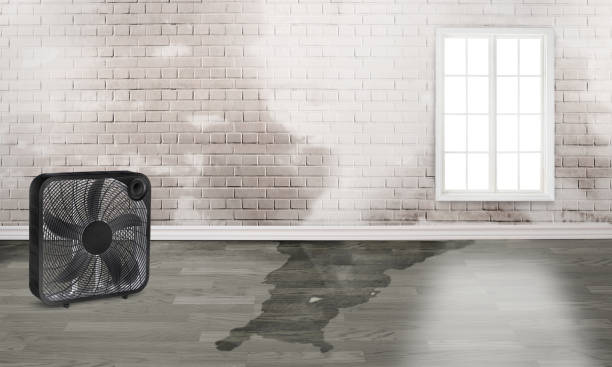Best Flood restoration services  in Durant, IA
