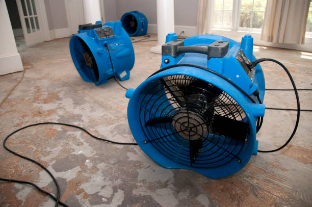 Best Ceiling water damage repair  in Durant, IA