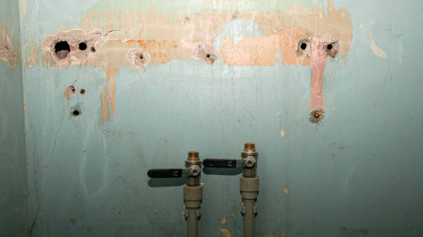 Best Water damage restoration near me  in Durant, IA