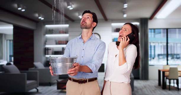 Best Fire Damage Restoration  in Durant, IA