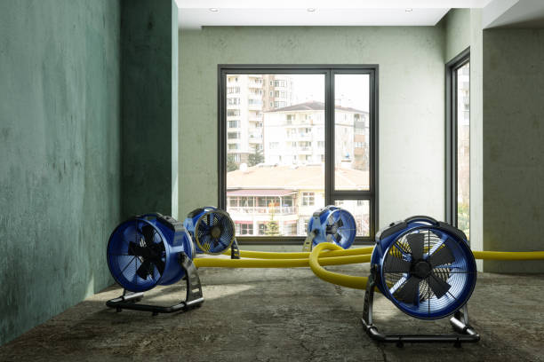 Best 24/7 water damage repair  in Durant, IA