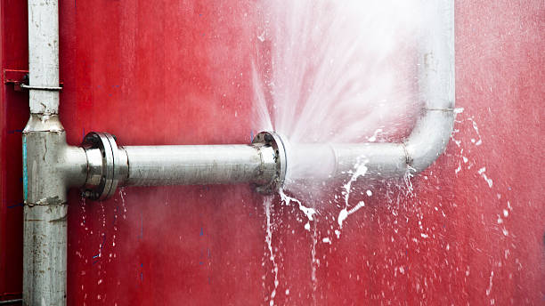 Best Professional water damage repair  in Durant, IA