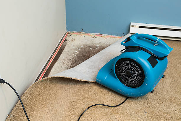 Best Commercial water damage restoration  in Durant, IA